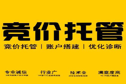 某电商平台的竞价托管SEM实践
